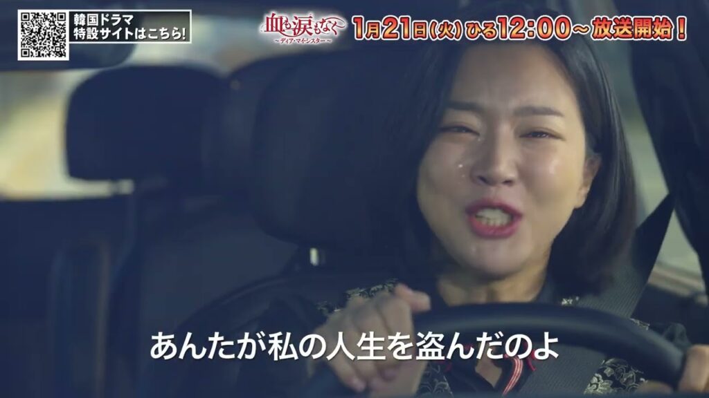 血も涙もなくの評価と感想を徹底解説！キャストと展開の魅力：韓国ドラマ