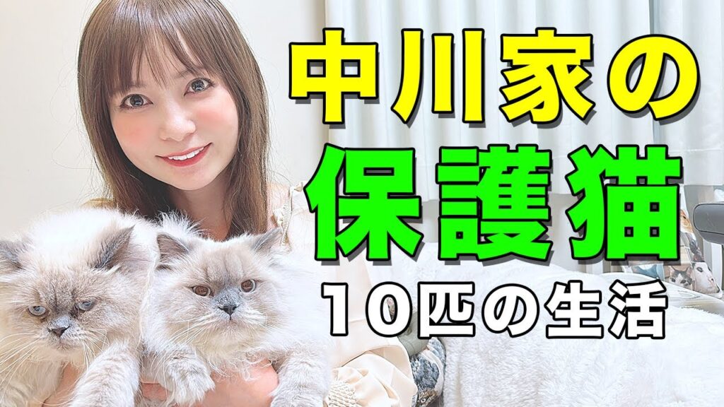 中川翔子の他人猫事件とは？2018年の騒動の真相を徹底解説